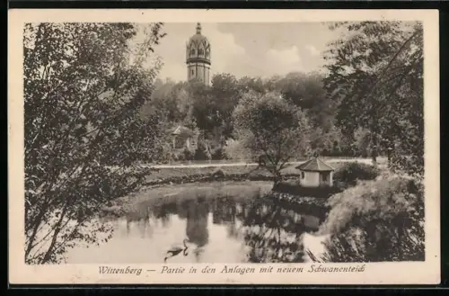 AK Wittenberg / Elbe, Partie in den Anlagen mit neuem Schwanenteich