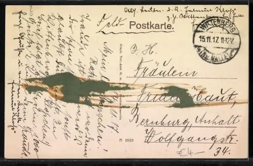 AK Wittenberg / Elbe, Partie in den Anlagen mit neuem Schwanenteich