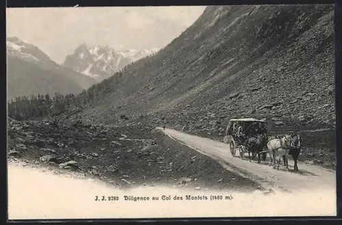 AK Col des Montets, Diligence