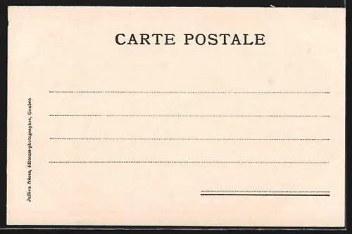 AK Col des Montets, Diligence