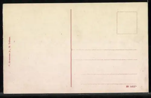 AK Mähr. Trübau, Totalansicht mit Berg aus der Vogelschau