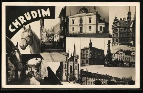 AK Chudim, Hauptplatz, Strassenpartie, Gebäudeansichten, Pferde