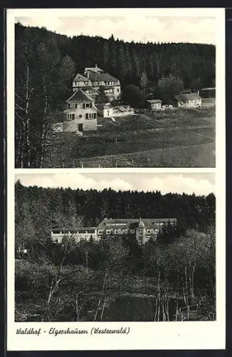 AK Elgershausen / Westerwald, Blick zum Gasthof Waldhof
