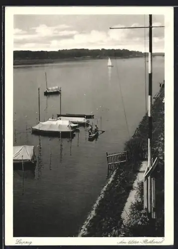 AK Bösdorf / Elster, Idylle am Elster-Flut-Kanal