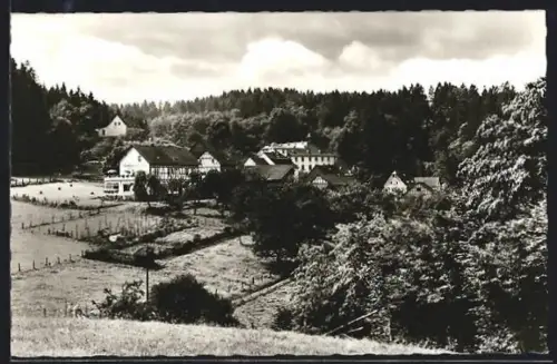 AK Marienthal / Westerwald, Blick auf den Gasthof Hähner