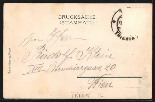 Lithographie Triest, Panorama von Triest, Blick von Opcina aus