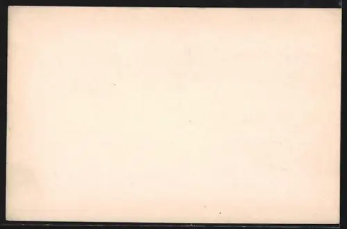 Lithographie Firenze, Uffizi, Duomo, Panorama