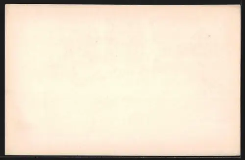 Lithographie Firenze, Duomo, Uffizi, S. Croce