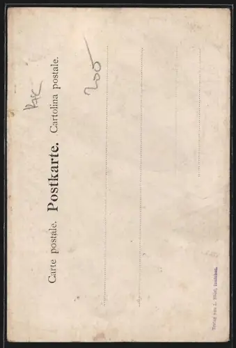 AK Innichen, Blick zur Villa Ompteda