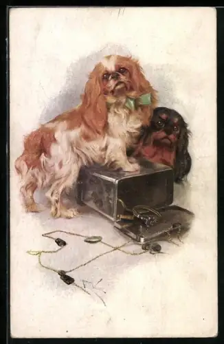 Künstler-AK M. Munk Nr. 883: Zwei Pekinesen mit geöffneter Schmuckdose