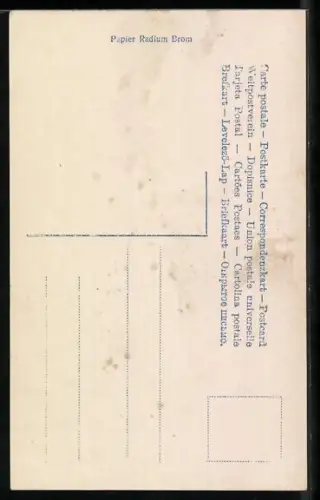 AK St. Helena, Napoleon stützt sich die Hand auf das Haupt