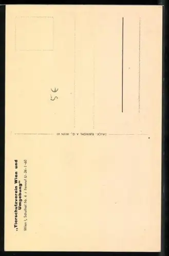 AK Zwei kleine gefleckte Terrier an einer Stufe