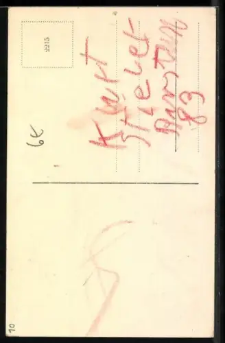 AK Hund Terrier im Profil