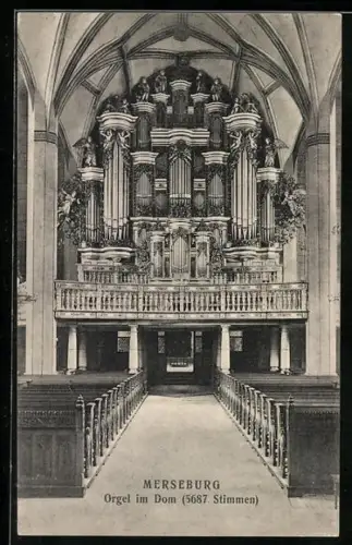 AK Merseburg, Orgel im Dom, 5687 Stimmen