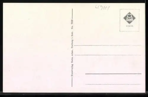 AK Bad Altheide, Panorama, Grosser Sprudel & Park