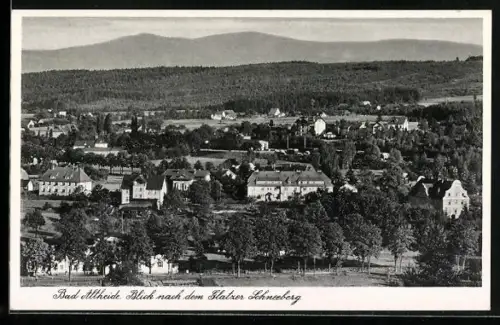 AK Bad Altheide, Panorama mit Glatzer Schneeberg