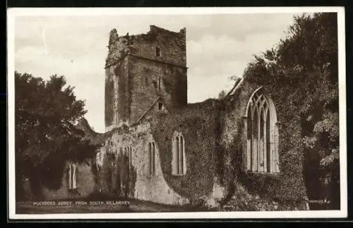 AK Killarney, Muckross Abbey from South