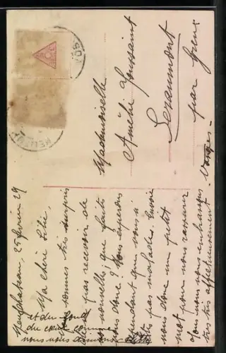 Foto-AK Amag Nr. 61492/4: Mädchen mit Kopftuch und zwei Gänsen