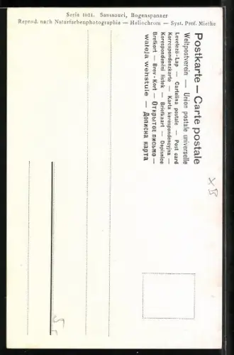 AK Sanssouci, Der Bogenspanner in der Parkanlage