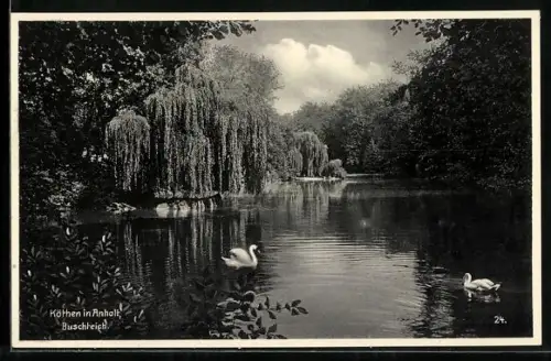 AK Köthen /Anhalt, Blick auf den Buschteich