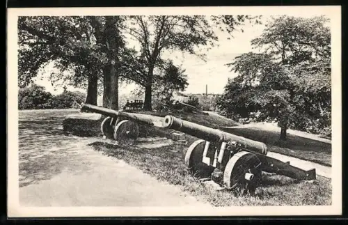 AK Rostock, Wallanlagen mit alten Geschützen