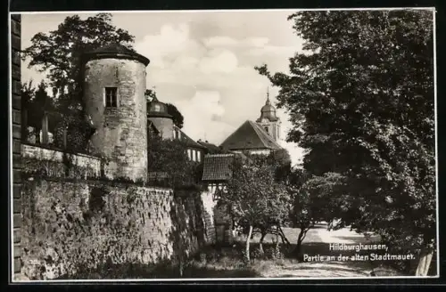 AK Hildburghausen / Thür., Partie an der alten Stadtmauer
