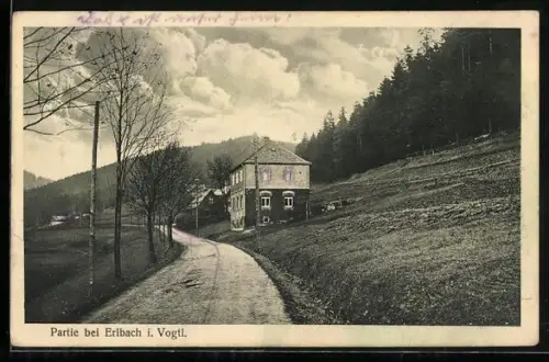 AK Erlbach i. Vogtl., Partie mit strassennahen Gebäuden und Umgebung