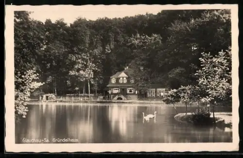 AK Glauchau /Sa., Uferpartie mit Gründelhaus