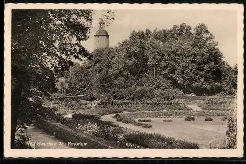 AK Glauchau /Sa., Rosarium mit Kirchturm