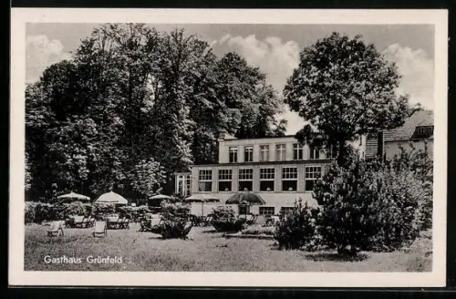 AK Waldenburg /Sa, Gasthaus Grünfeld mit umgebender Natur