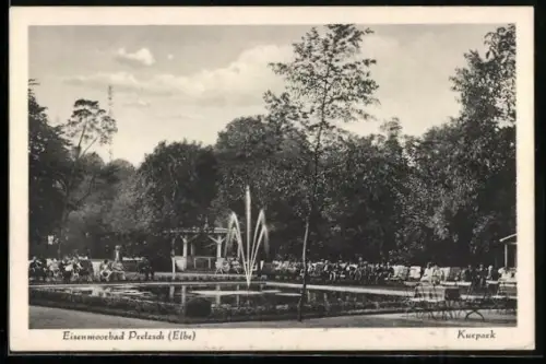 AK Pretzsch /Elbe, Kurpark Eisenmoorbad mit Besuchern