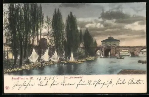 AK Frankfurt a. M., Der Müllermain, Partie am Mainufer