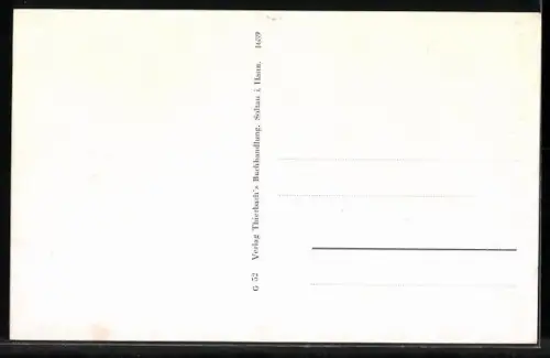 AK Soltau /Lüneburger Heide, Ort vom Flugzeug aus gesehen