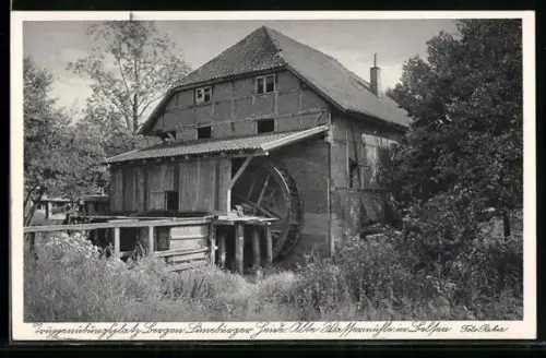 AK Bergen / Truppenübungsplatz, Alte Wassermühle