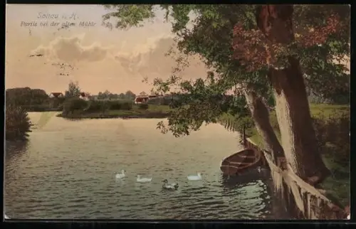 AK Soltau i. H., Partie bei der alten Mühle