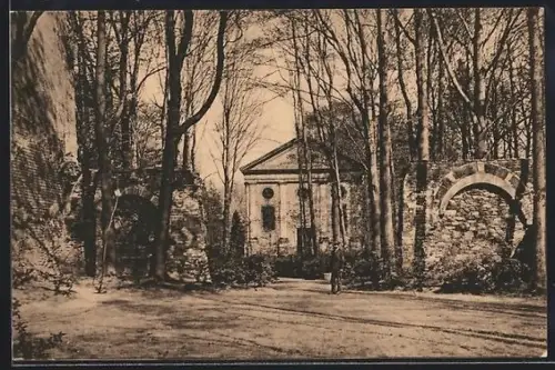 AK Altzella b. Nossen, Klosterpark, Ruinen der Stiftskapelle u. Begräbniskapelle