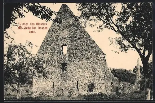 AK Nossen, Ruinen des Klosters Alt-Zella, Giebel