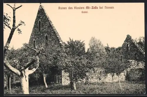 AK Altzella b. Nossen, Klosterruinen, Giebel, Panorama