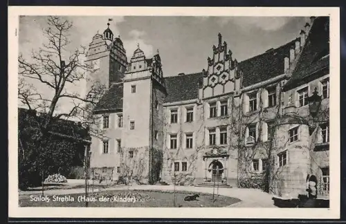 AK Strehla / Elbe, Schloss, jetzt Haus der Kinder