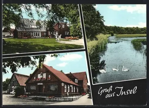 AK Insel /Schneverdingen, Gasthof Harms Aussenansichten und Natur