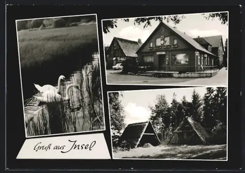 AK Insel /Schneverdingen, Gasthof Harms, Aussenansicht und Natur