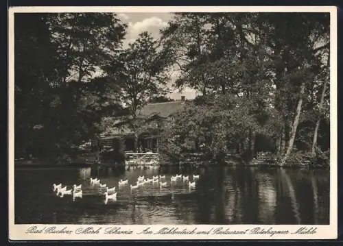 AK Bad Buckow /Märk. Schweiz, Restaurant Ritzhagener Mühle und Mühlenteich