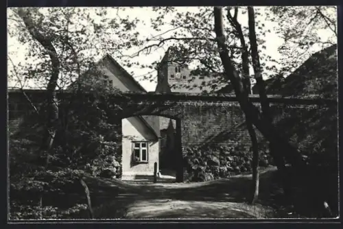 AK Penzlin /Meckl., An der Stadtmauer