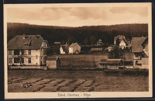 AK Elend /Oberharz, Villen und umliegende Wälder