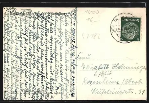 AK Berlin-Wannsee, Nikolskoe-Pfaueninsel, Original-Fliegeraufnahme