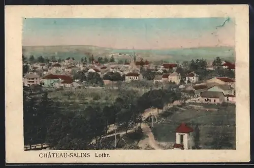 AK Château-Salins /Lothr., Vue générale du village