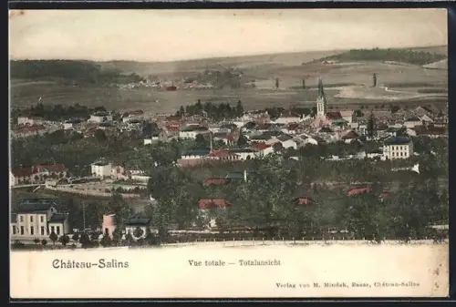 AK Château-Salins, Vue totale de la ville et des paysages environnants