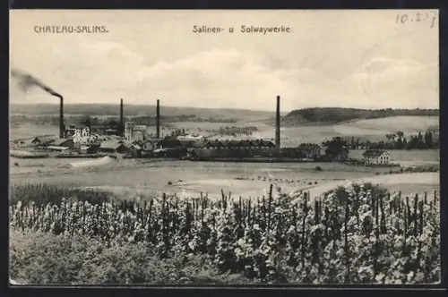 AK Château-Salins, Salinen- und Solwaywerke