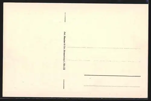 AK Pfalzburg /Lothr., Krämerstrasse mit Colonialwarenhandlung