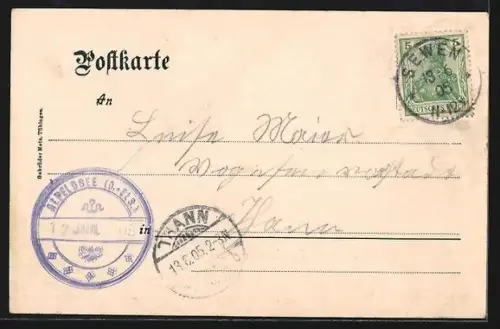 AK Elsässer Belchen, Vue des pâturages avec vaches et collines environnantes